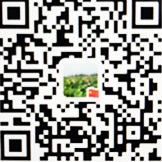 手機(jī)瀏覽